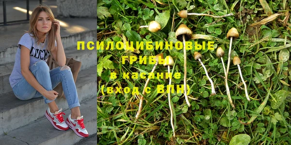 МДПВ Алексин