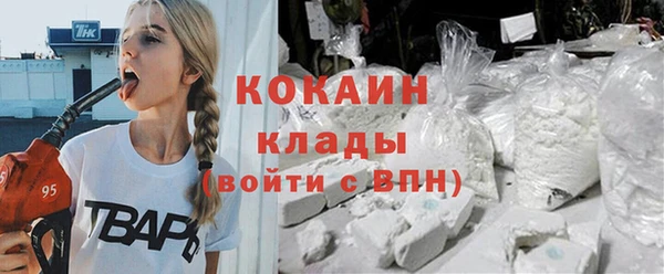 гашик Алексеевка