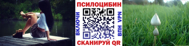 мега как зайти  даркнет сайт  Карачев  Галлюциногенные грибы мицелий 